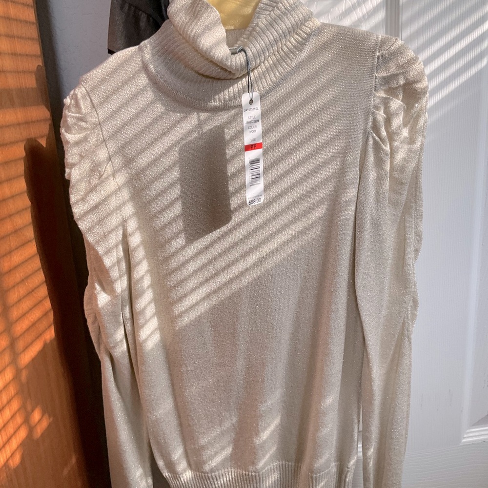 Metallic Ivory Turtle Neck Sweater